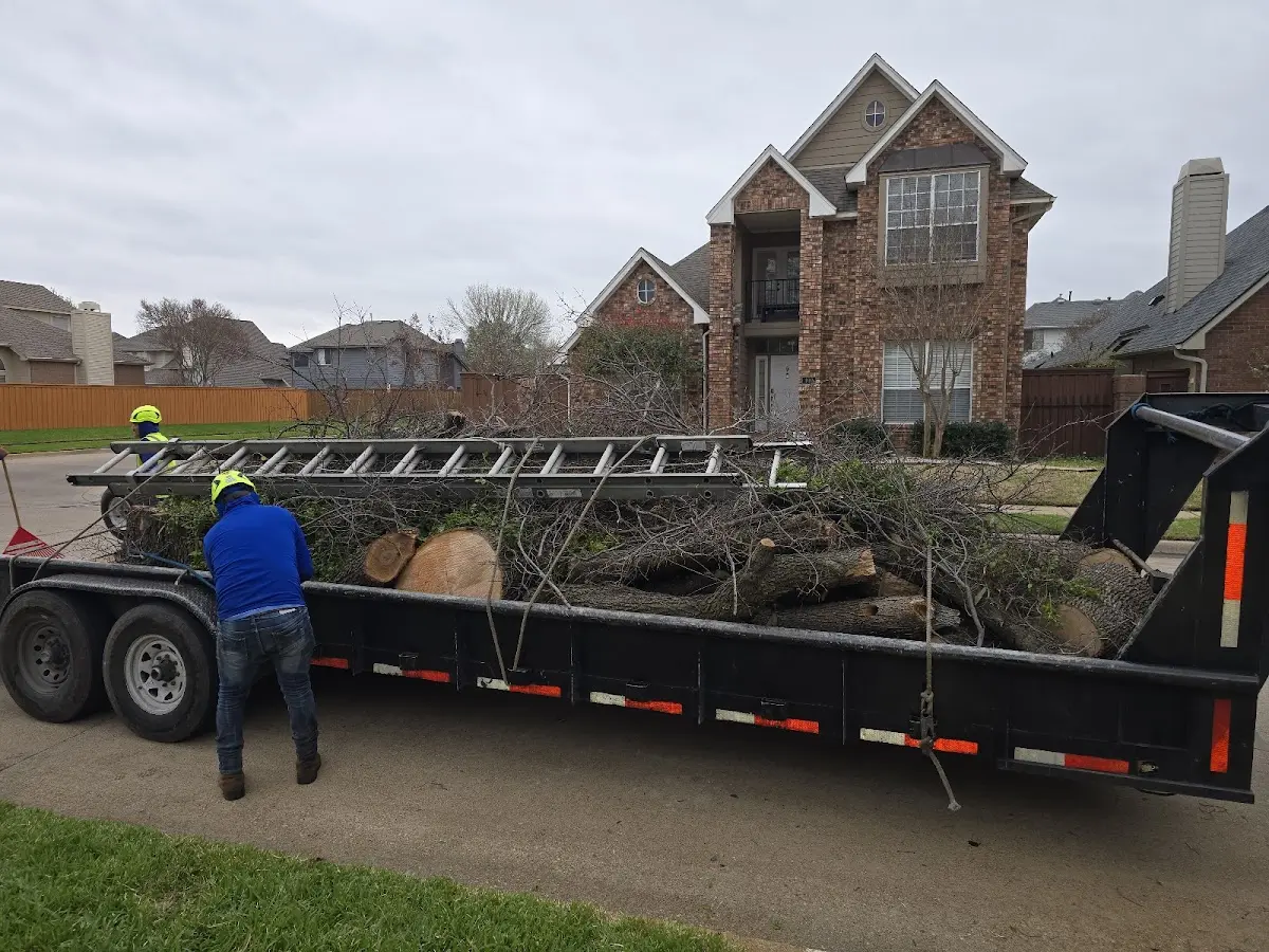 Expert Lot Clearing with proper safety equipment in Mills